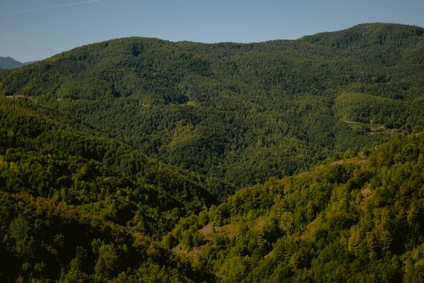 Rénovation d'ampleur : découvrez l'avis des clients satisfaits