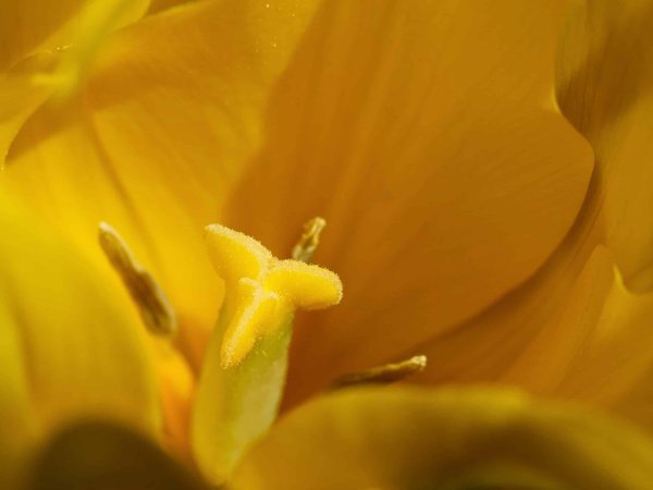 Comment les créateurs de jeux vidéo racontent-ils des histoires immersives ?