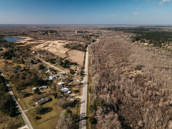 Comment réussir à cultiver des fleurs comestibles dans un petit jardin urbain ?
